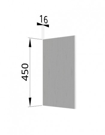 Панель торцевая (для шкафа горизонтального высокого) ВПГ Ройс (Графит софт) в Белокурихе - belokuriha.mebel54.com | фото