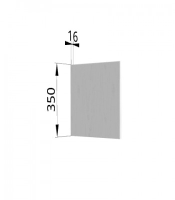 Панель торцевая (для шкафа горизонтального высотой 350 мм) ПГ Мелисса (Белый скин) в Белокурихе - belokuriha.mebel54.com | фото